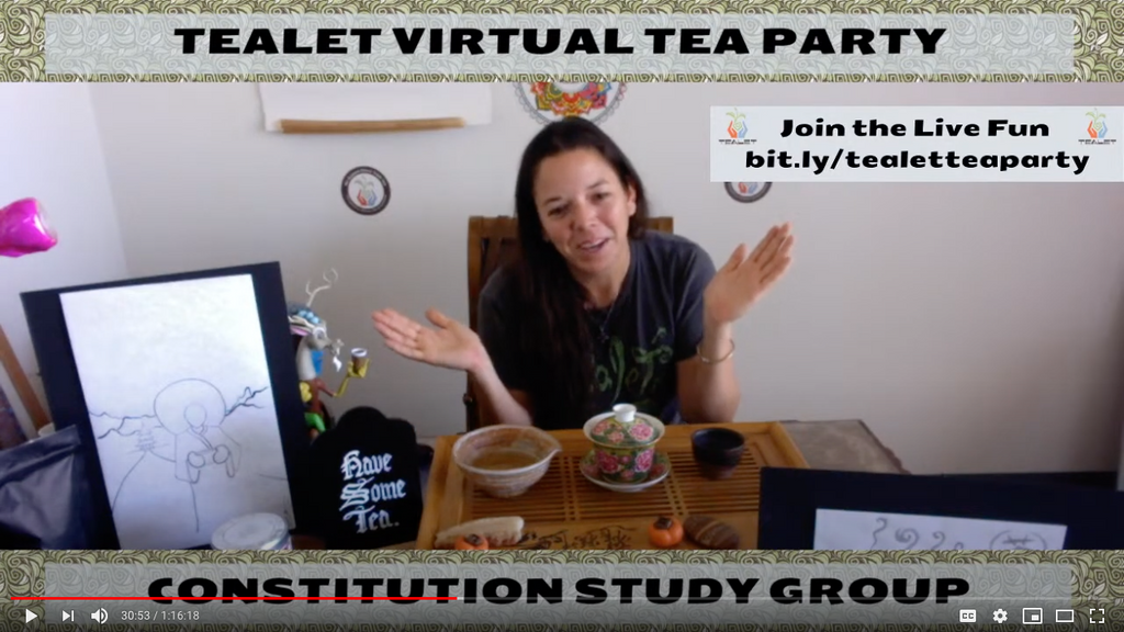 Wednesday, July 8, 2020 - Constitution Study Group - Federalist No. 10 &  Centinel No. 1
